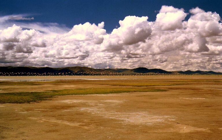 Laguna Pozuelos, Jujuy, Argentina