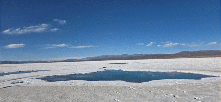 salinas jujuy