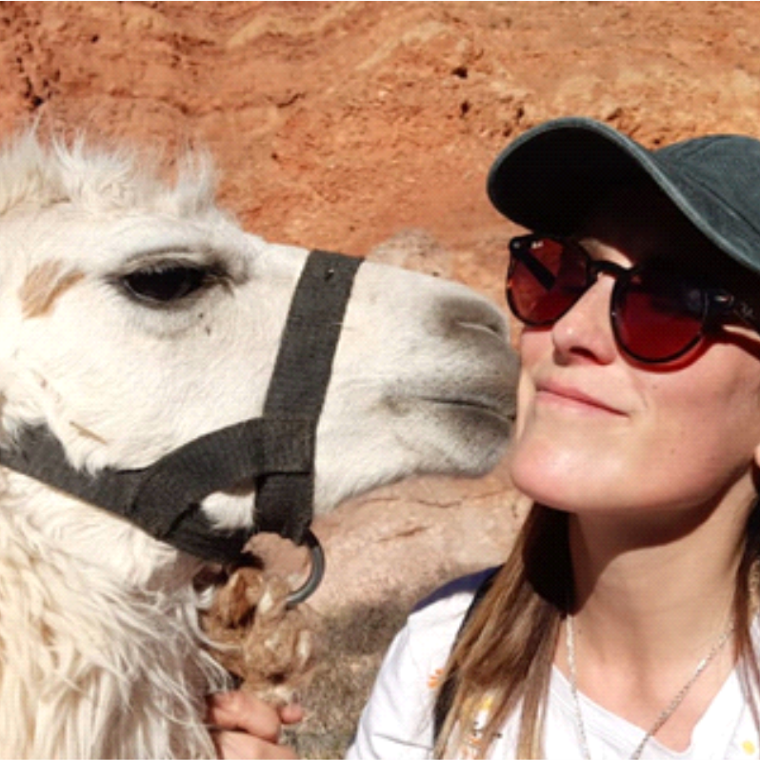 PASEOS CON LLAMAS EN PURMAMARCA - foto